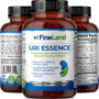 Uri Essence - Imagen 2