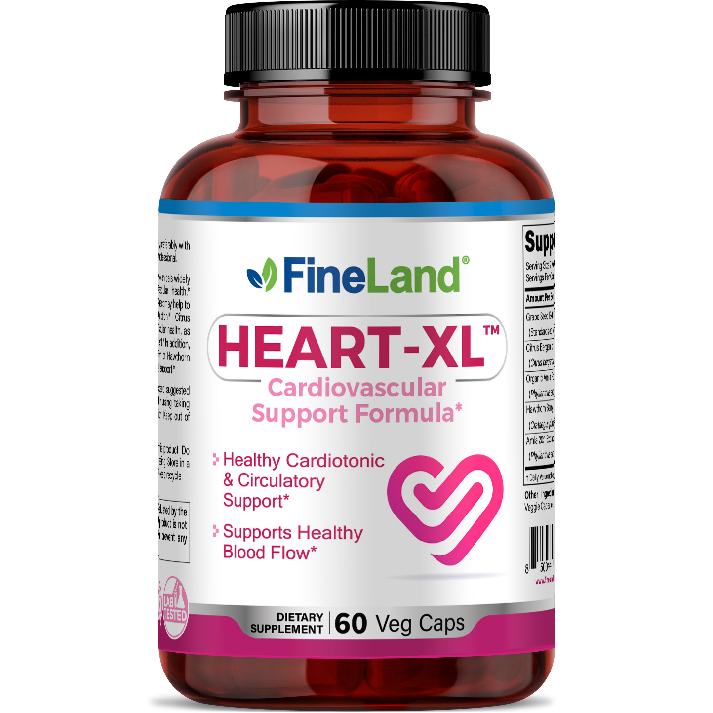 FRONTAL HEART XL.jpg Heart-XL - Imagen 1