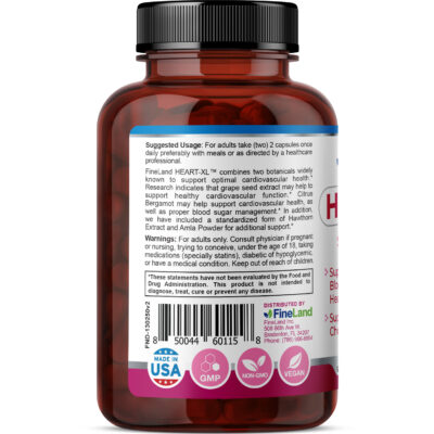 Heart-XL - Imagen 4