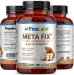 Meta Fix - Imagen 4