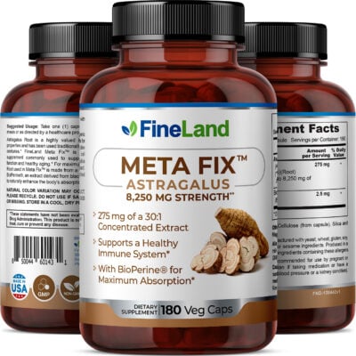 Meta Fix - Imagen 2