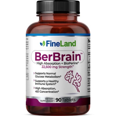 BerBrain - Imagen 1