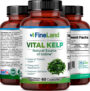 Vital Kelp - Imagen 4