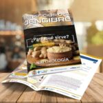 ι CAPÍTULO 6 - JENGIBRE - NATUROLOGÍA