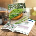 ι CAPÍTULO 5 - COLA DE CABALLO - NATUROLOGÍA