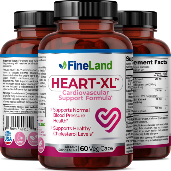 Heart-XL - Imagen 2
