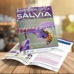 ι CAPÍTULO 27 – SALVIA – NATUROLOGÍA