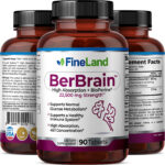BerBrain - Imagen 2