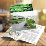 ι CAPÍTULO 58 – ALBAHACA – NATUROLOGÍA