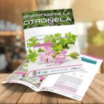 ι CAPÍTULO 59 – ALBAHACA – NATUROLOGÍA