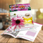 ι CAPÍTULO 63 – EQUINACEA – NATUROLOGÍA