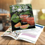 ι CAPÍTULO 65 – HOJA DE GUAYABA – NATUROLOGÍA