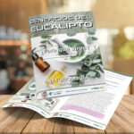 ι CAPÍTULO 64 – EUCALIPTO – NATUROLOGÍA