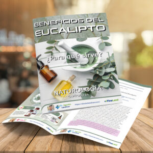ι CAPÍTULO 64 – EUCALIPTO – NATUROLOGÍA
