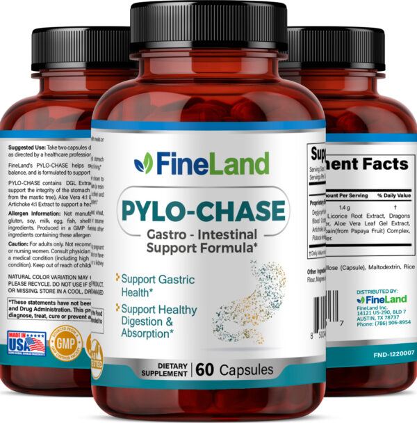 Pylo-Chase - Imagen 4