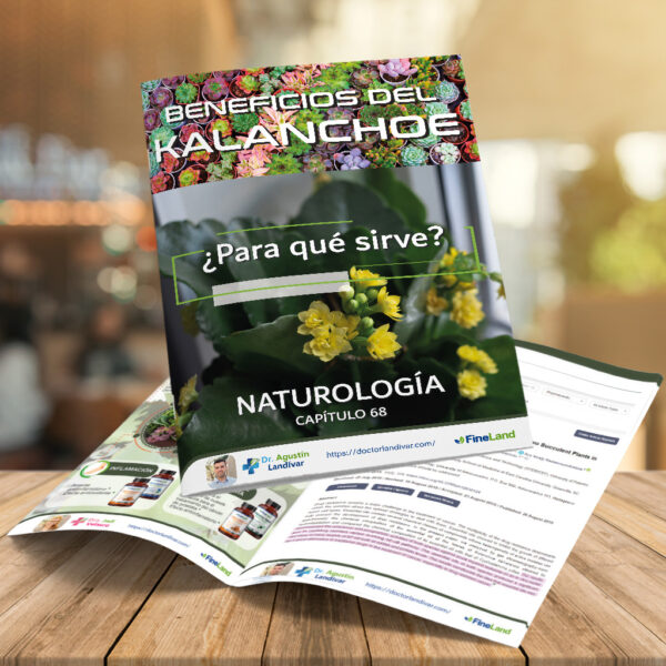 gsfdg ι CAPÍTULO 68 – KALANCHOE – NATUROLOGÍA - Imagen 1