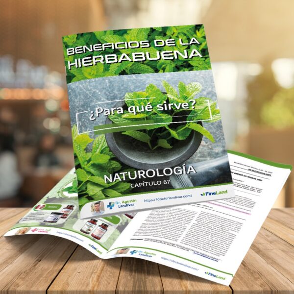 ι CAPÍTULO 67 – HIERBABUENA – NATUROLOGÍA - Imagen 1