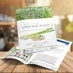 ι CAPÍTULO 70 – PAJA CEDRÓN - ZACATE LIMÓN - MALOJILLO – NATUROLOGÍA