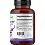 Regen-Factor - Imagen 3