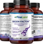 Regen-Factor - Imagen 4