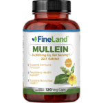 Mullein