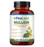 Mullein