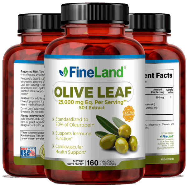 Olive Leaf - Imagen 4