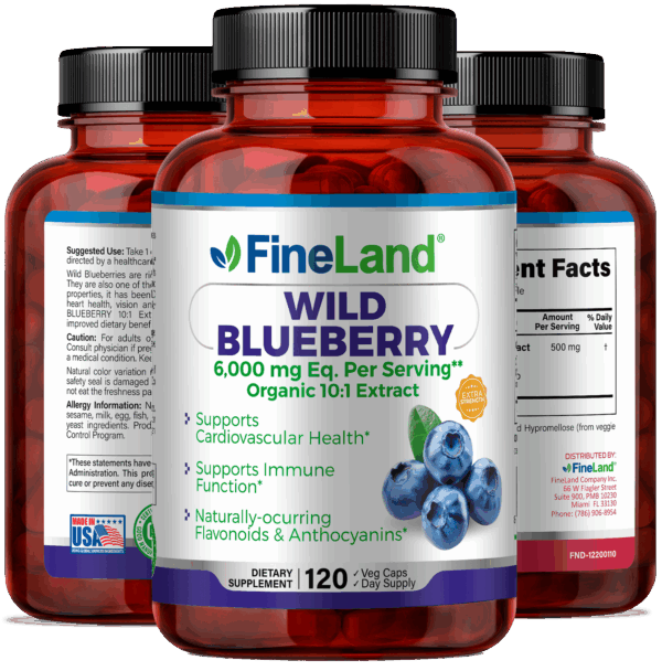 Wild Blueberry - Imagen 4