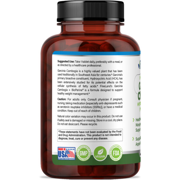Garcinia Cambogia - Imagen 4