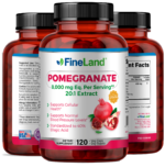 Pomegranate - Imagen 4