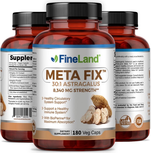 Meta Fix - Imagen 4
