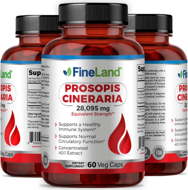 Prosopis Cineraria - Imagen 4