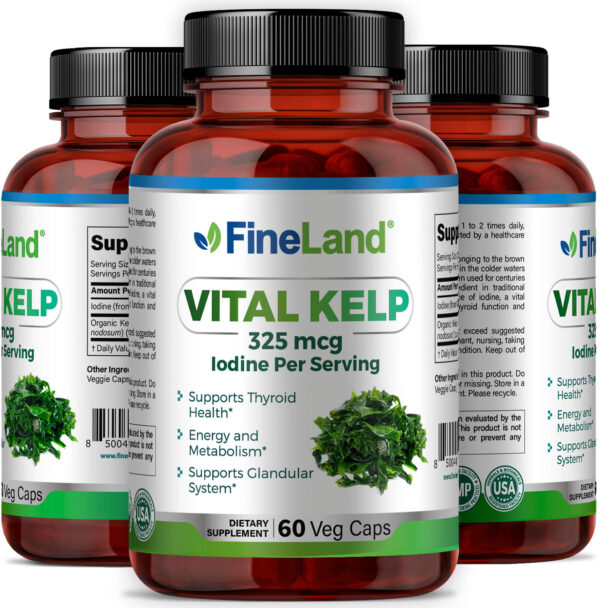 Vital Kelp - Imagen 4