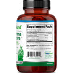 Gymnema Sylvestre - Imagen 3