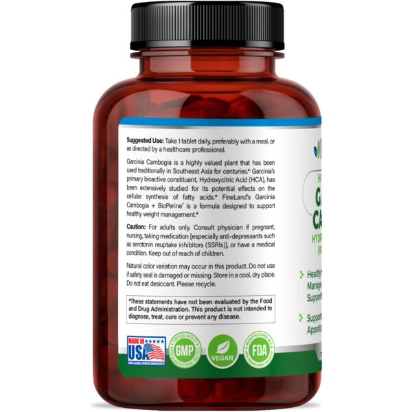Garcinia Cambogia - Imagen 2