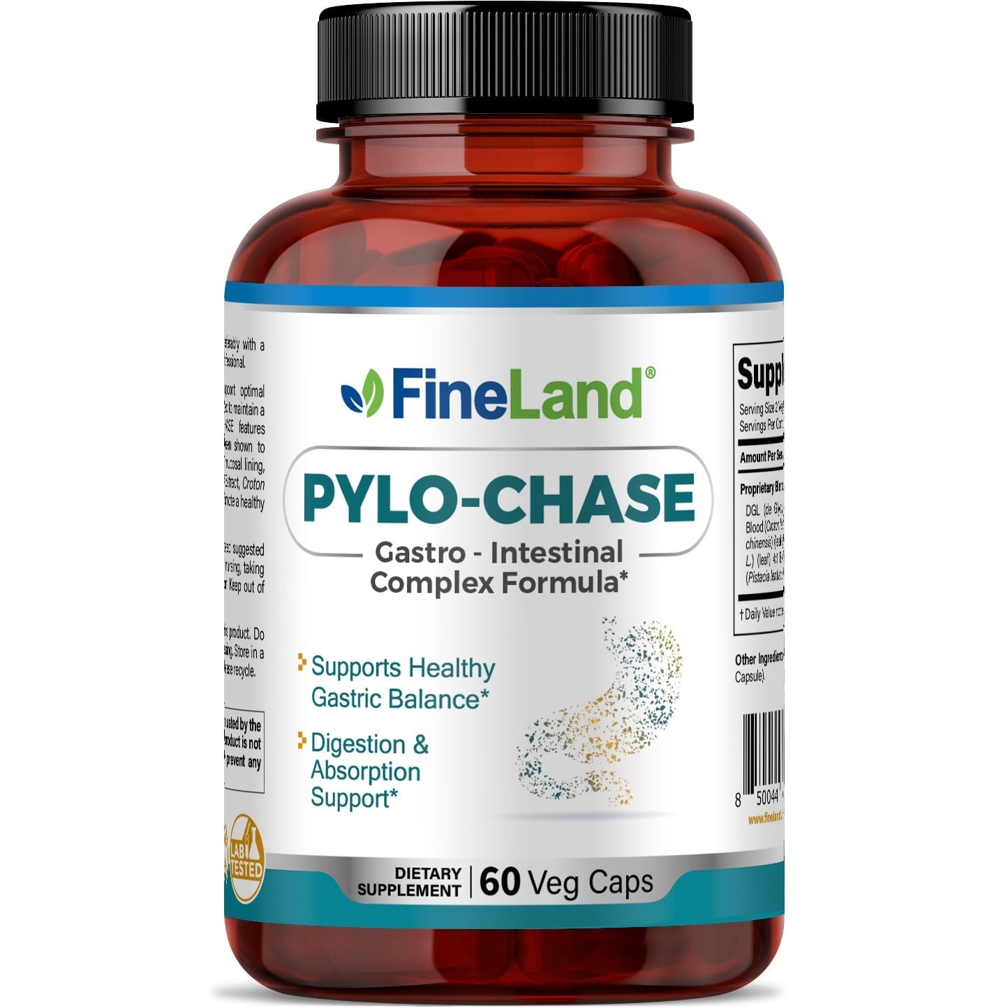Pylo-Chase - Imagen 1