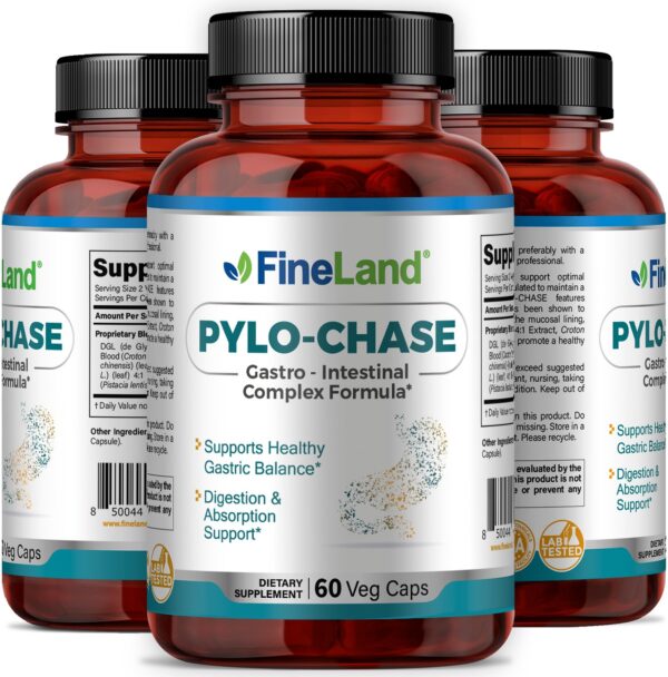 Pylo-Chase - Imagen 4